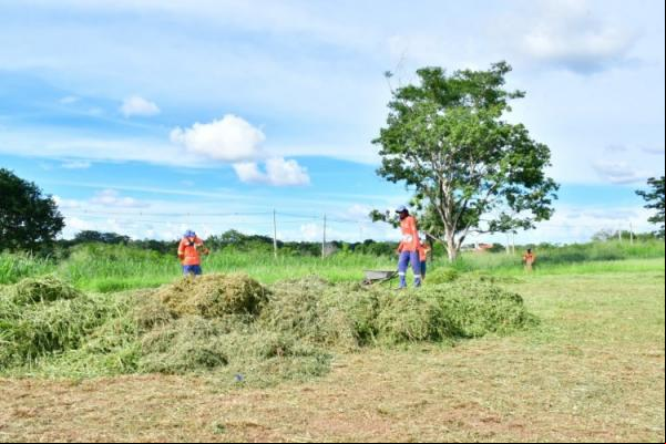 Parceria entre Infraestrutura e Esportes de Floriano começam limpeza nos campos de várzea da cidade(Imagem:Secom)