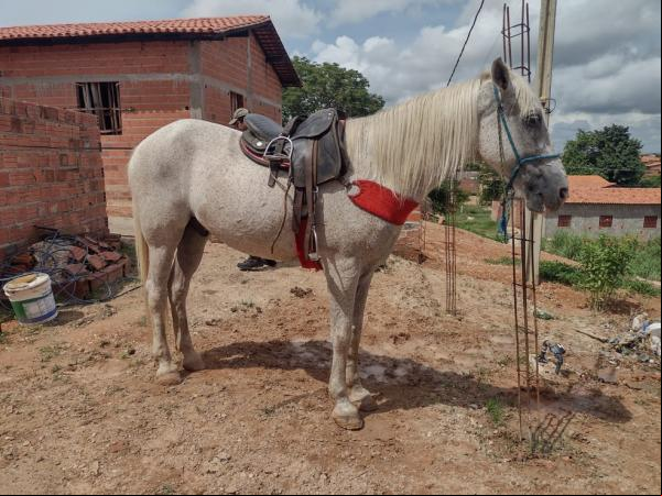 Minutos depois, a vítima do assalto conseguiu pedir socorro aos policiais que avam em uma viatura e eles começaram a seguir os suspeitos. Quando os policiais alcançaram os dois(Imagem:Reprodução)