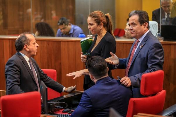 Deputado vai defender a redução de impostos durante audiência pública.(Imagem:Alepi)