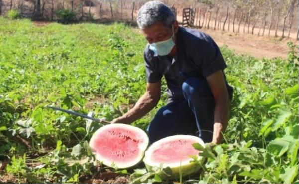 Piauí é um dos estados que mais reduziu a pobreza no País(Imagem:Divulgação)