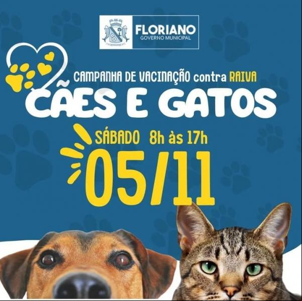 Campanha de vacinação antirrábica em cães e gatos.(Imagem:Divulgação)