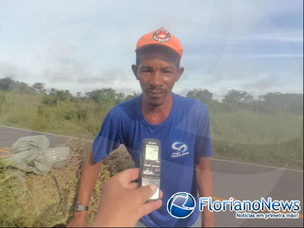Florianenses mantém tradição de colher Alecrim na Sexta-feira Santa.(Imagem:FlorianoNews)