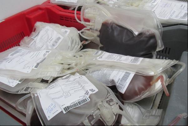 Doações têm queda de 50% no Hemopi com a pandemia.(Imagem:Catarina Costa)