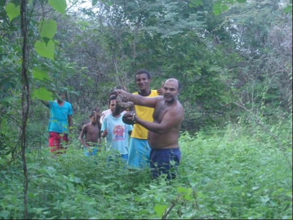 Cobra jiboia é encontrada dentro de residência em Floriano.(Imagem:FlorianoNews)
