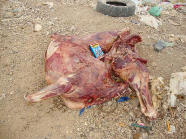 100kg de Carne Apreendida(Imagem:redação)