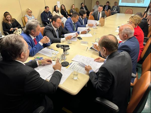Bancada Piauiense (Foto:)(Imagem:Ascom/Florentino Neto)