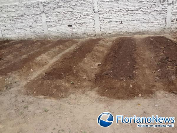 CAPS AD III é beneficiado com horta comunitária.(Imagem:FlorianoNews)
