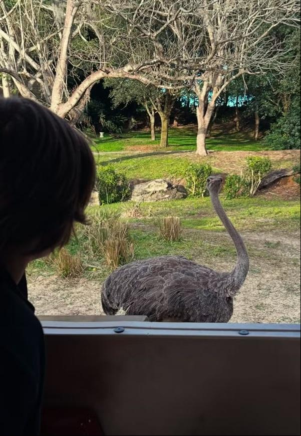Theo Lima eia pelos parques da Disney, em Orlando(Imagem:Reprodução/Instagram)