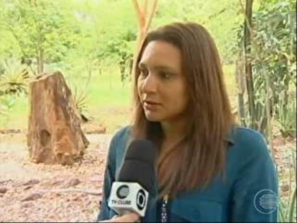 PI apura falta de preservação do Parque Ambiental Floresta Fóssil (Imagem:G1 PI)