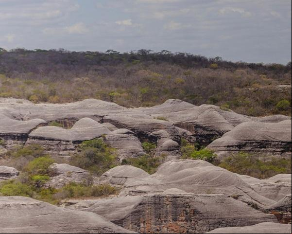Com cerca de 850 mil hectares, o atrativo turístico é a maior unidade de conservação do estado e também da região Nordeste.(Imagem:Thiago Amaral)