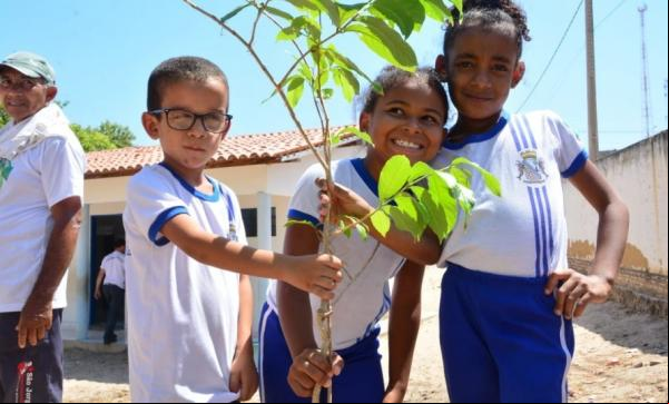 SEMAN realiza o plantio de 14 mudas em escolas municipais de Floriano.(Imagem:Secom)