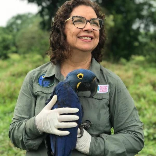 Segundo Neiva Guedes, a presença das aves é um importante indicador de saúde ambiental, que quase chegou ao fim(Imagem:Reprodução/Facebook)