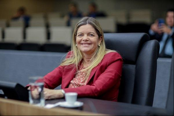 A proposição é da deputada Gracinha Mão Santa.(Imagem:Alepi)