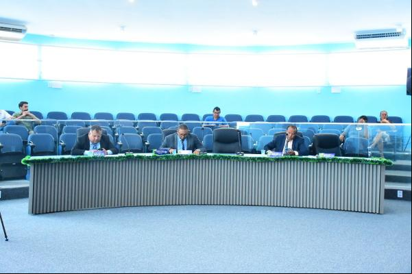 Câmara Municipal de Floriano realiza duas sessões e conclui o ano legislativo de 2024(Imagem:CMF)