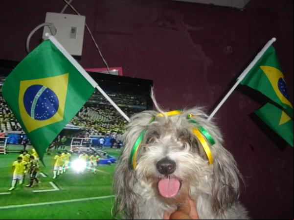 Mel(Imagem:Arquivo Pessoal)