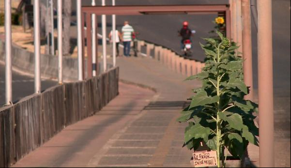 Sábado (26) e domingo (27) terão temperaturas de até 39°, no Piauí, com umidade entre 15% e 33%(Imagem:Reprodução)