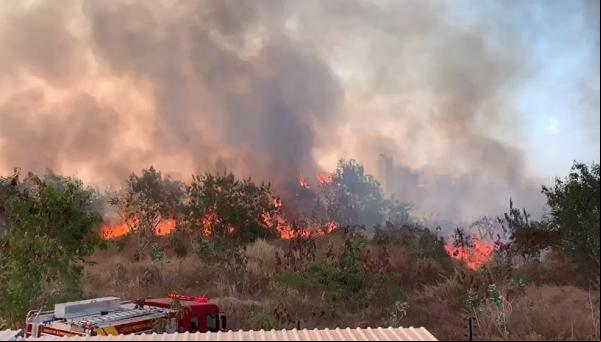 Incêndio atinge matagal na Zona Sul de Teresina(Imagem:Reprodução)