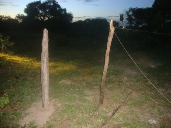 Terreno é invadido no bairro Campo Velho.(Imagem:FlorianoNews)