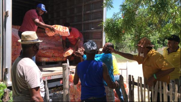Alimentos doados(Imagem:FlorianoNews)
