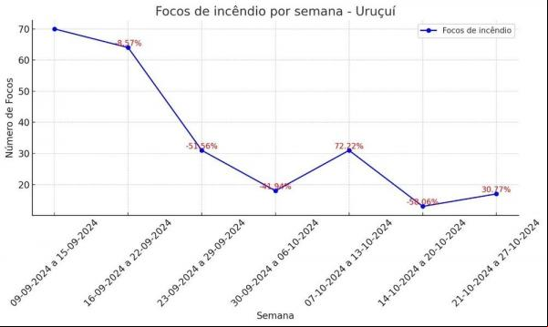 Semarh aponta diminuição de 47% dos incêndios florestais no mês de setembro em comparação a 2023.(Imagem:Divulgação)