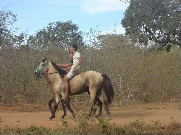 Corrida de cavalos marcou encerramento da festa do vaqueiro em Marcos Parente.(Imagem:FlorianoNews)