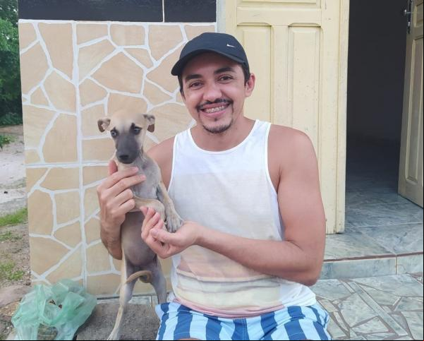 Até que na quarta-feira (9), a cadela foi encontrada por uma amiga de Nádia. A primeira pessoa que se interessou em adotar o animalzinho não pôde mais, mas outra mulher se manifest(Imagem:Reprodução)