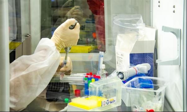 Covid-19: Anvisa reduz exigências para análise de registro de vacinas.(Imagem:Itamar Crispim/Fiocruz)