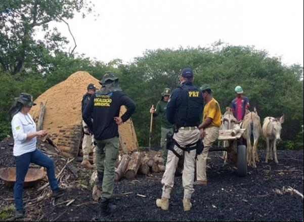 Cinco são conduzidos por suspeita de crime ambiental no Piauí.(Imagem:PRF)