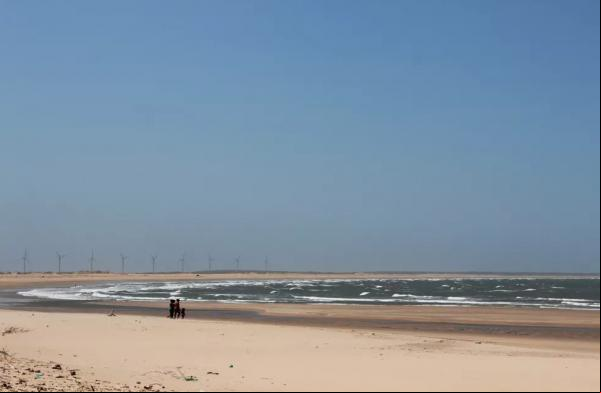Praia da Pedra do Sal, Litoral do Piauí.(Imagem:Patrícia Andrade/G1)