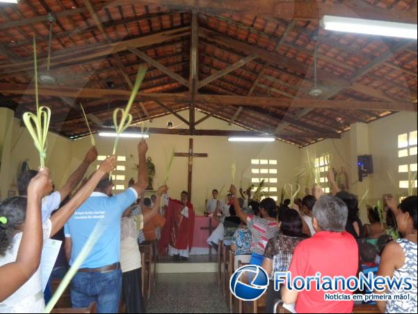 Domingo de Ramos é celebrado com missas e procissões em Floriano.(Imagem:FlorianoNews)