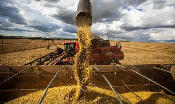 FGV Agro mostra que foi o melhor resultado para o mês desde 2013.(Imagem:CNA/Wenderson Araujo/Trilux)