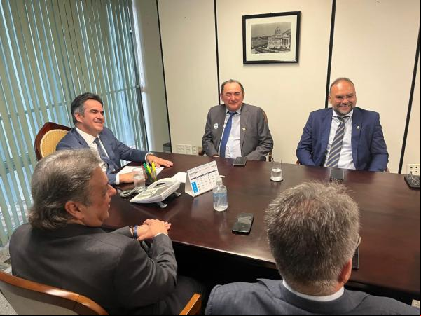 Poderes legislativo e Executivo de Floriano se unem em busca de emendas em Brasília.(Imagem:CMF)