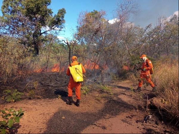  Piauí tem alta de focos e a a ocupar 2º lugar no ranking de queimadas no Brasil.(Imagem:Corpo de Bombeiros )