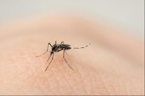De acordo com os dados, 38 municípios apresentaram situação de alerta e 3 municípios figuram na situação de risco.(Imagem:Divulgação)