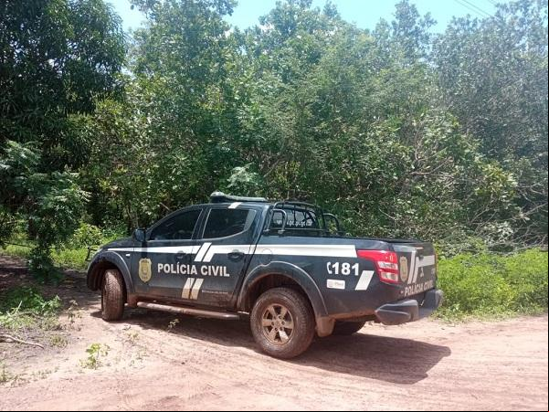 Polícia Civil do Piauí(Imagem:Arquivo)