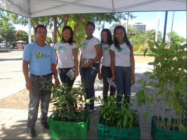 IFPI distribui mudas e planta pensamento sustentável em estudantes florianenses.(Imagem:FlorianoNews)