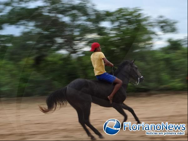 Vaquejada natalina agitou a tarde de sábado em Barão de Grajaú.(Imagem:FlorianoNews)