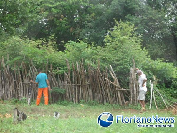 Local do crime(Imagem:FlorianoNews)