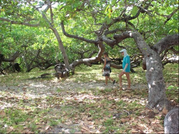 local já tem sido bastante visitado por turistas.(Imagem:Gilcilene Araújo/G1)