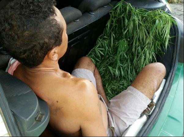 Operação Avast prendeu 36 pessoas por tráfico de drogas no Piauí.(Imagem:Divulgação/PM)