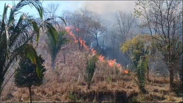 Incêndio avança sobre região de mata seca em Angical, no Piauí.(Imagem:Reprodução)