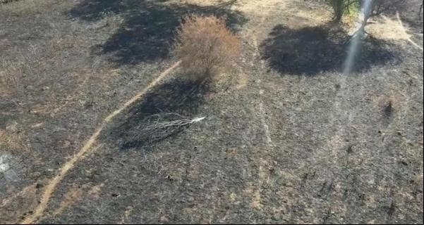 Imagem aérea do incêndio no Sul do Piauí.(Imagem:Reprodução/TV Clube)