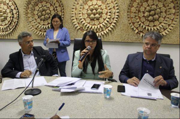 Quatro cursos da Uespi podem fechar em 2020, alerta Teresa Britto(Imagem:Alepi)