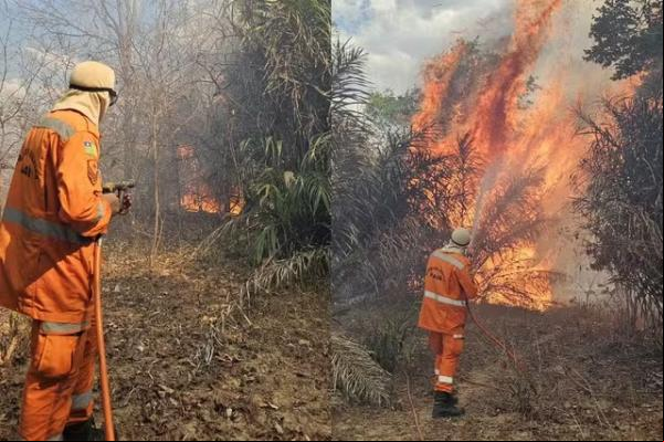 Bombeiros atuam no combate às chamas em Cocal dos Alves, no Norte do Piauí.(Imagem: Divulgação/CBMEPI)
