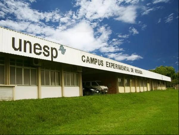 Campus da Unesp em Rosana (SP)(Imagem:Reprodução/Unesp)