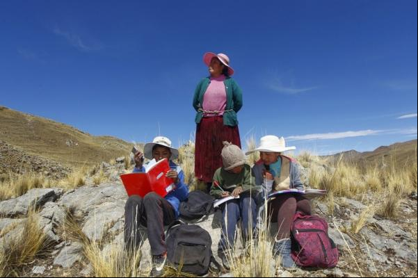 No Peru, pandemia levou cerca de 300 mil alunos a desistirem da escola(Imagem:Reprodução)