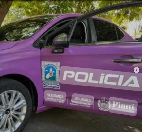 Intervenção da Patrulha Maria da Penha garante segurança em caso de violência doméstica em Floriano.(Imagem:Reprodução/Instagram)