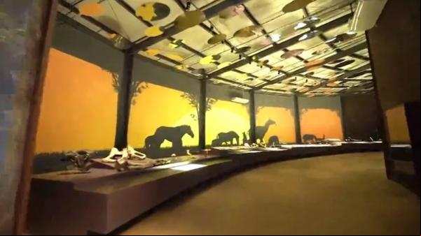 Museu da Natureza, no Piauí.(Imagem:Reprodução /TV Clube )