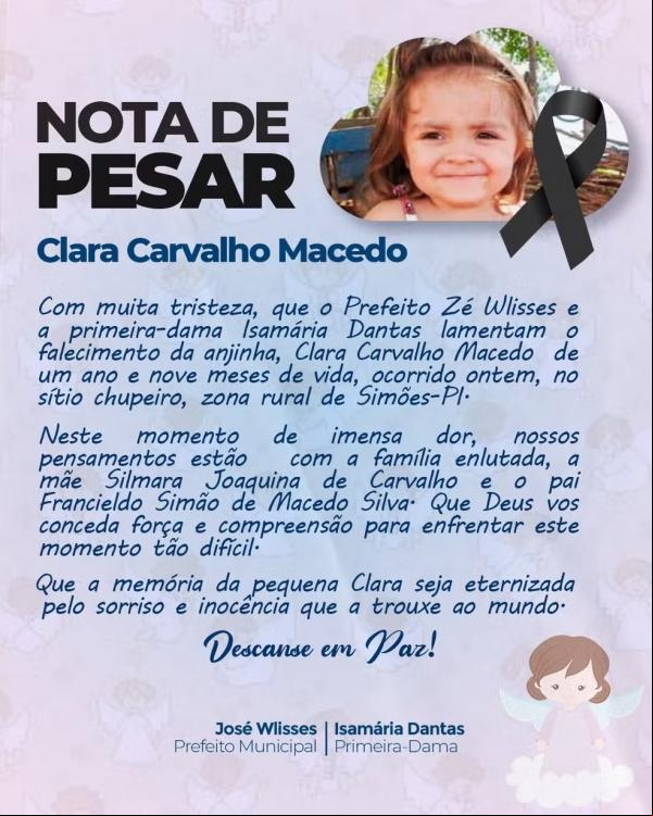 Bebê morre afogada ao cair em barreiro no quintal de casa no PI.(Imagem:Prefeitura de Simões)