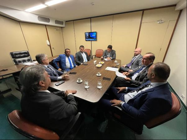Poderes legislativo e Executivo de Floriano se unem em busca de emendas em Brasília.(Imagem:CMF)